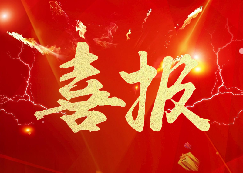 BB贝博显示再获行业殊荣